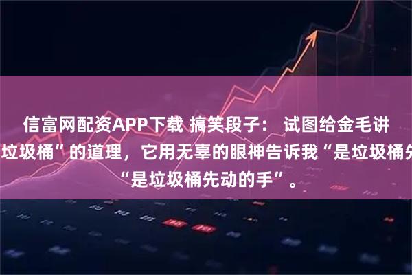 信富网配资APP下载 搞笑段子： 试图给金毛讲“不可以翻垃圾桶”的道理，它用无辜的眼神告诉我“是垃圾桶先动的手”。