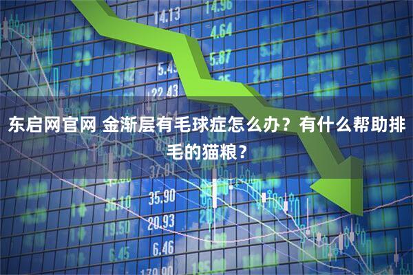 东启网官网 金渐层有毛球症怎么办？有什么帮助排毛的猫粮？