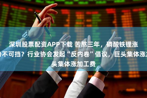 深圳股票配资APP下载 苦熬三年,磷酸铁锂涨价已势不可挡?行业协会发起“反内卷”倡议,巨头集体涨加工费
