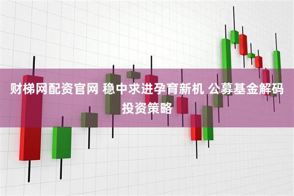 财梯网配资官网 稳中求进孕育新机 公募基金解码投资策略