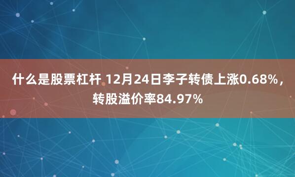 什么是股票杠杆 12月24日李子转债上涨0.68%，转股溢价率84.97%